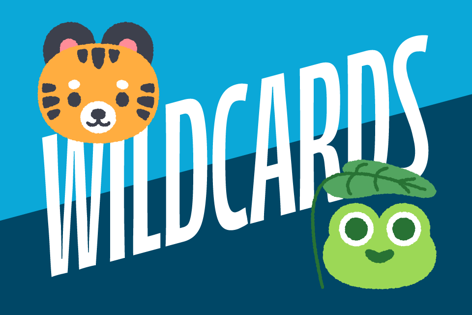 Wildcards